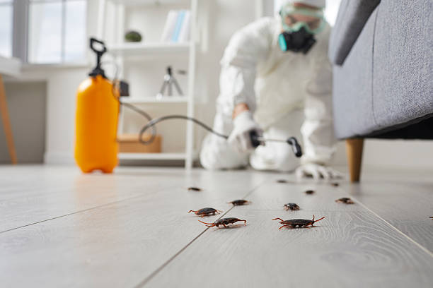 Commercial Rodent Management in Weiser
